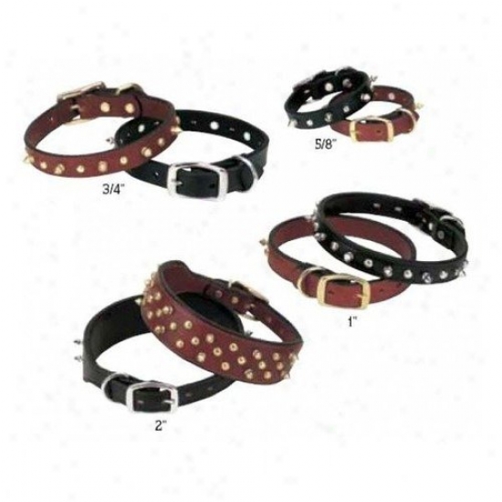 Weaver Pet Products Spike's 2'' Double-ply Collar