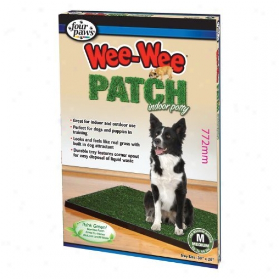 Wee Wee Patch