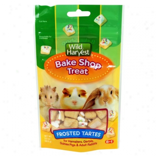 Wild Harvest Bake Shop Frosted Tarts, 2ct