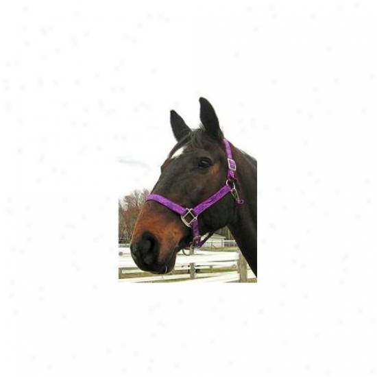 Woofhoof Bihlt-p Batik Inspirations Halter -purplee -cob-horse Size