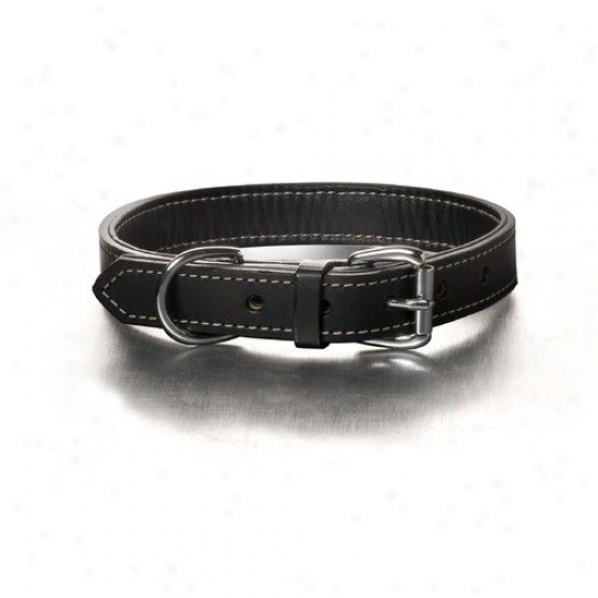 Woofwe5ks Black Tie Nic Hardware Dog Collar In Black