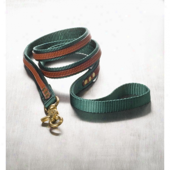 Woofwerks Cooper With Antique Leather Overlay Dog Leash