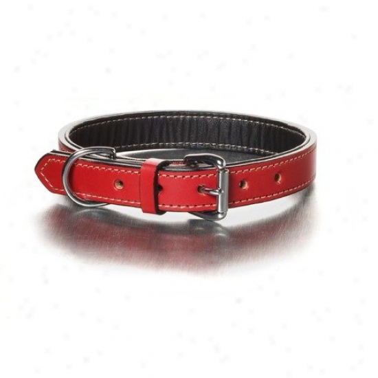 Woofwerks Simply Red Nic Hardwarr Dog Collar