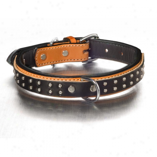 Woofwerks Wyatt Overlay Dog Collar
