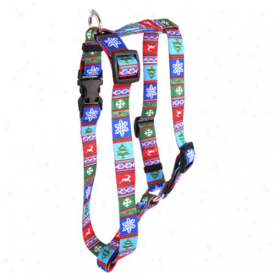 Yellow Dog Design Alpine Roman Harness