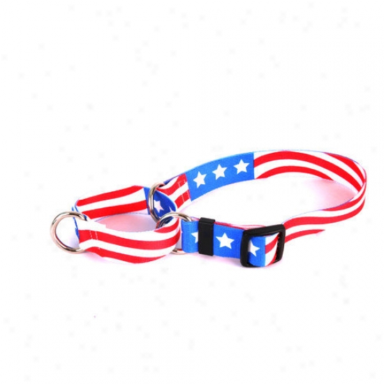 Yelloe Dog Design Americana aMrtingzle Collar