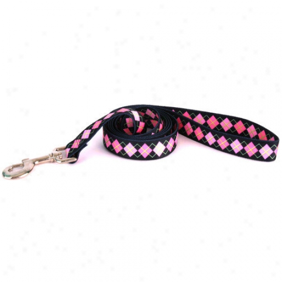 Yellow Dog Design Argylw Lead