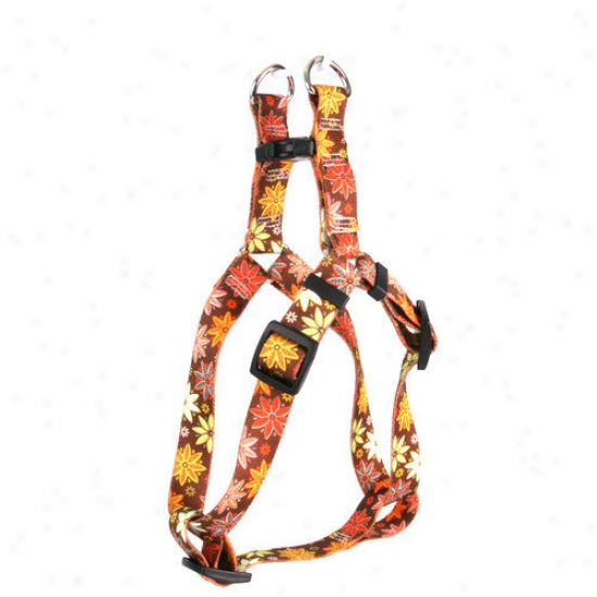 Yellow Dog Design Autumn Flowers Step-in Harness