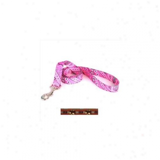 Yellow Dog Intention Ba106ld Bear Lodge Lead - Large