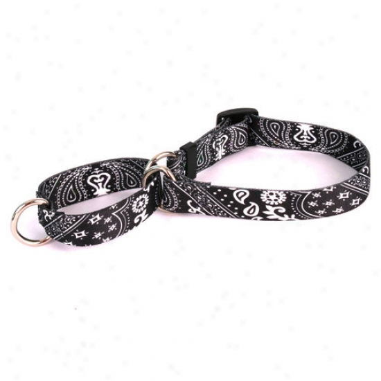 Yellow Dog Design Bandana Martingale Collar