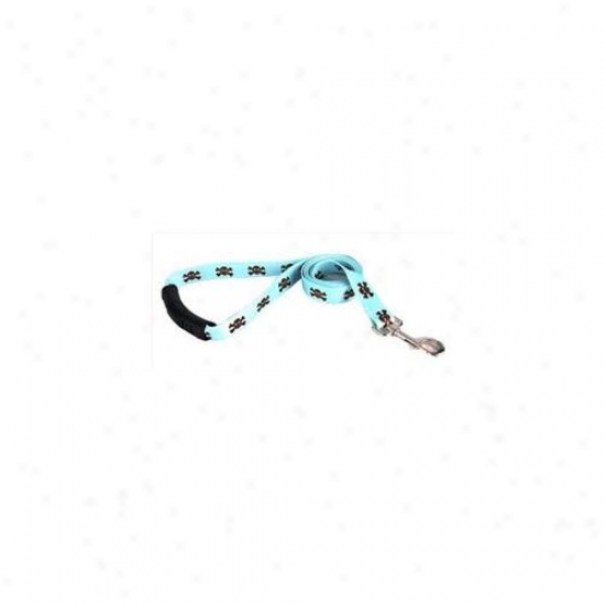 Yellow Dog Design Bbsk106ld 1 Incn X 60 Inch Blue And Brown Skulls Lead