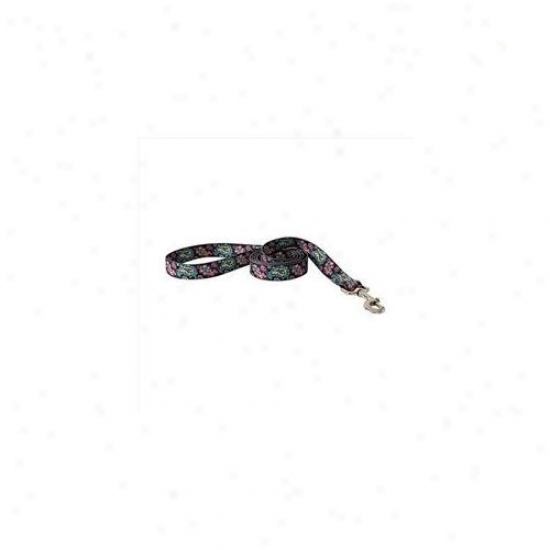 Yellow Dog Design Bhpb106ld 1 Indh X 60 Inch Bohemian Paisley Black Lead