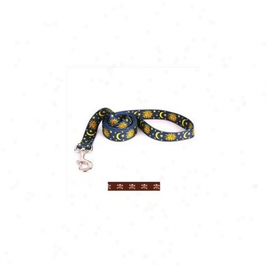 Yellow Dog Design Bpsk105ld 3/4 Inch X 60 Inch Brown And Pink Skulls Allure
