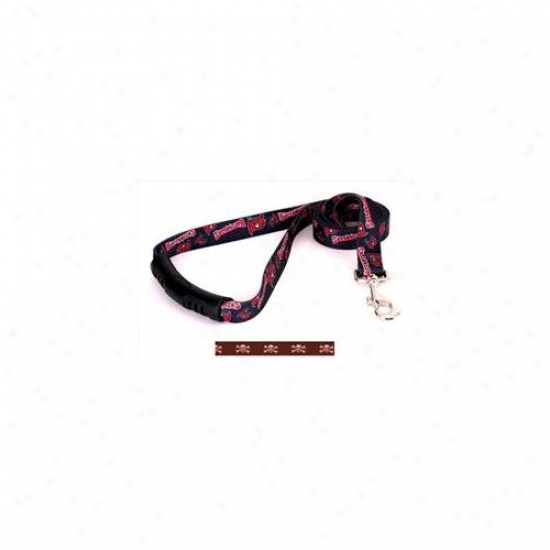 Yellow Dog Design Bpsk105ld-ez 3/4 Inch X 60 Inch Brown And Pink Skulls Ez-lead