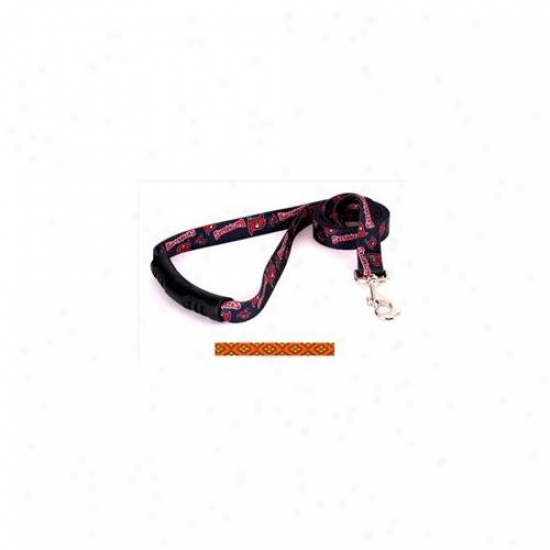 Yellow Dog Design Clo106ld-ez 1 Inch X 60 Inch Cleo Orange Ez-lead