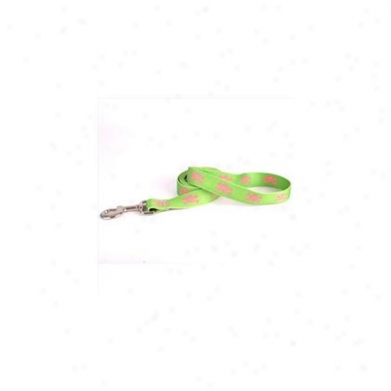 Yellow Dog Design Gps106ld 1 Imch X 60 Inch Green And Pink Skulls Lead