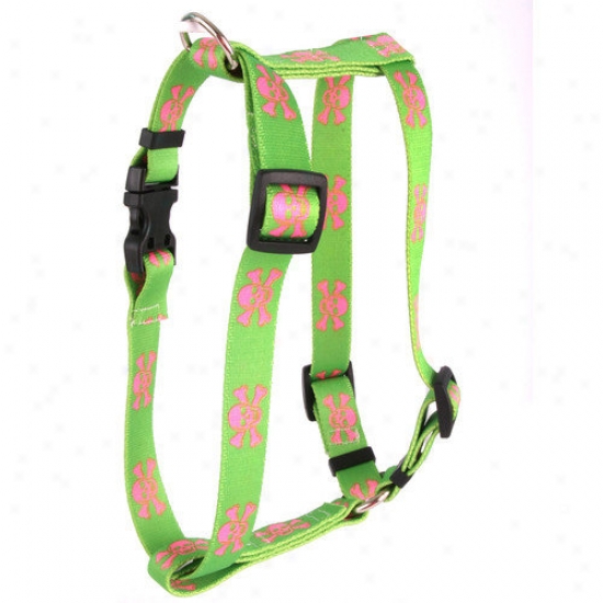 Yellow Dog Design Grwen And Pink Skulls Step-in Harness