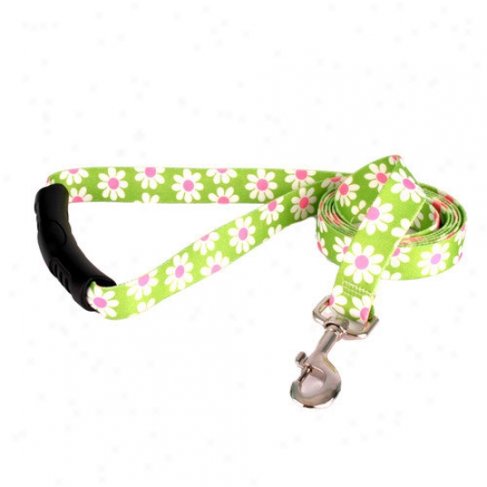 Yellow Dog Design Green Daisy Ez-lead
