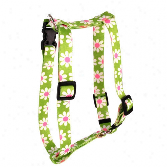 Yellow Dog Design Green Daisy Noble Harness