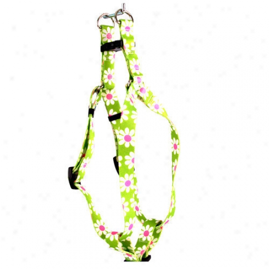 Yellow Dog Purpose Green Daisy Step-in Accoutrements