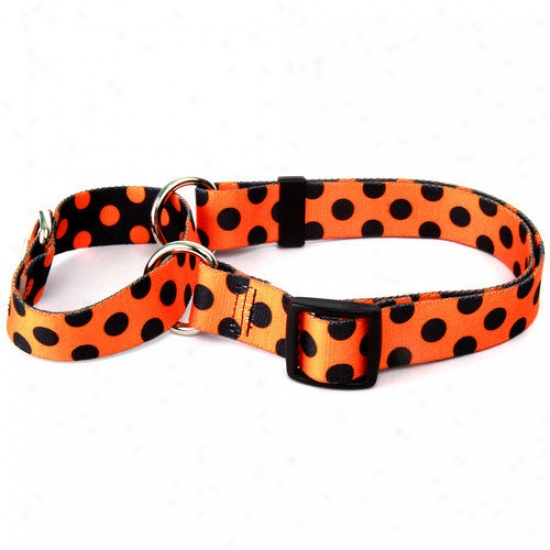 Yellow Dog Design Halloween Polka Dot Martingale Collat