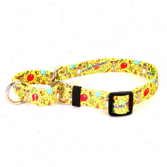 Yellow Dog Design Happy Birthday Martingale Collar
