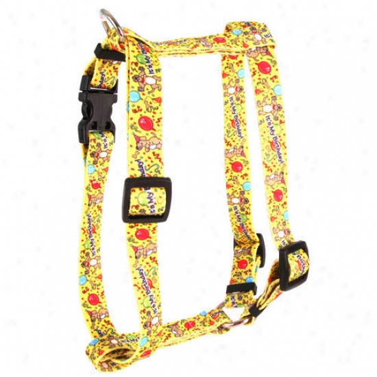 Yellow Dog Design Happy Birthday RomanH arness