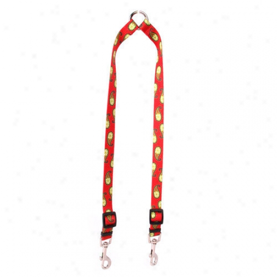 Yellow Dog Design Holiday Paisley Coupler Lead