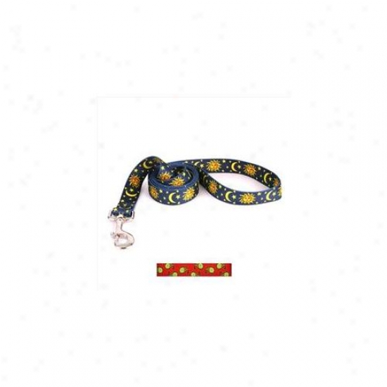 Yrllow Dog Design Holp105ld 3/4 Inch X 60 Inch Holiday Paisley Lead