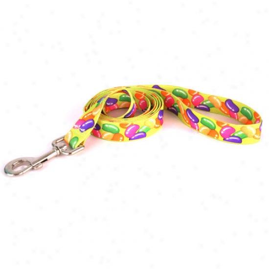 Golden Dog Design Jelly Beans Lead