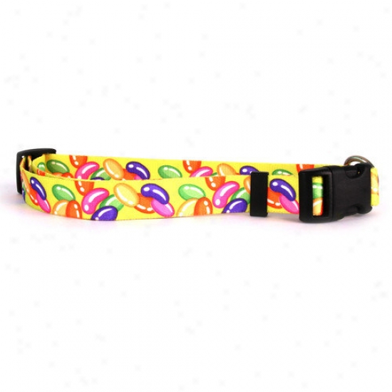 Yellow Dog Design Jelly Beans Standard Collar