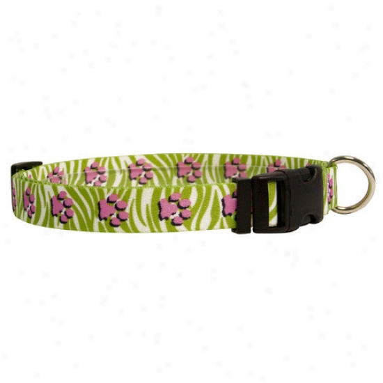 Yellow Dog Design Jungle Paws Standard Collar