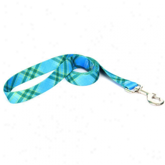 Yellow Dog Design Kilt Lead