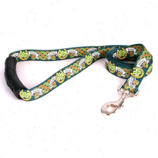 Yellow Dog Design Lucky Dog Ez-lead