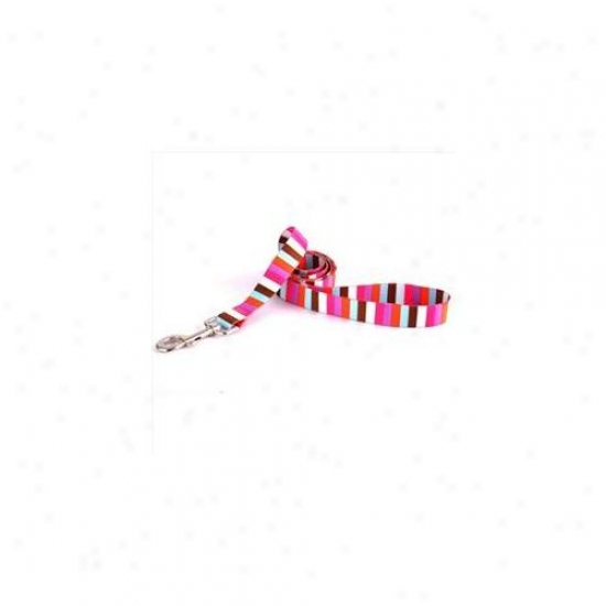 Yeolow Dog Design Ms106ld 1 Inch X 60 Inch Multi-stripe Lead