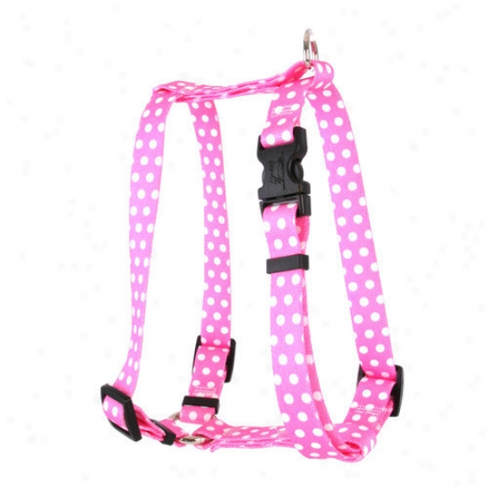 Yellwo Dog Design New Polka Dot  Roman Harness