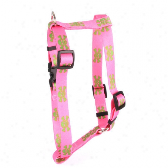 Yellow Dog Desig Pink/green Skullq Roman Harness