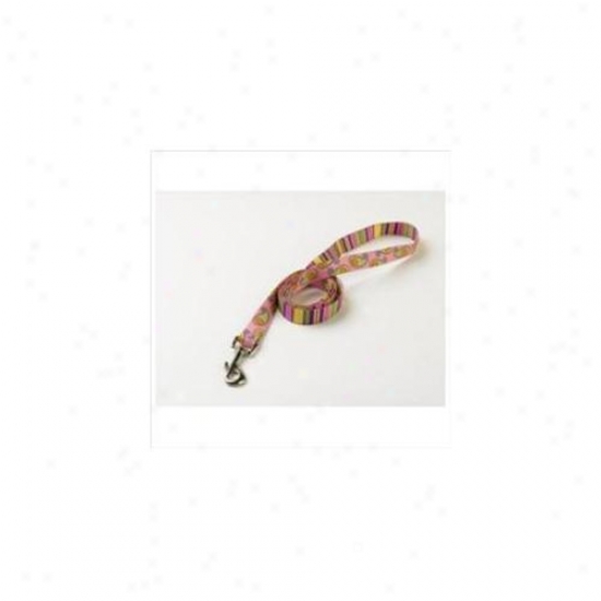 Yellow Dog Design Pips105ld 3/4 Inch X 60 Inch Pink Paisley / Pink Stripes Lead