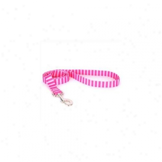 Yelloe Dog Design Pst106ld Pink And Pink Wale Lead - 1 Inch X 60 Inch
