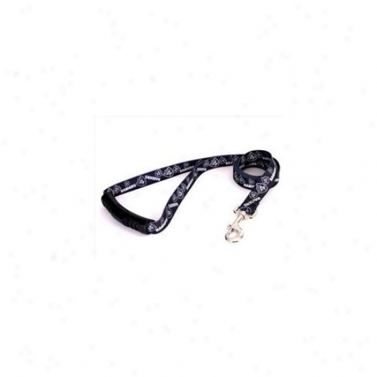 Golden Dog Design Raid106ld-ez 1 Inch X 60 Inch Oakland Raiders Ez-lead