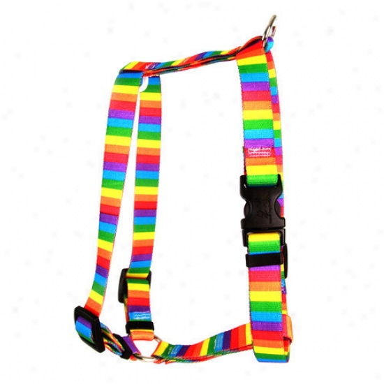 Yellow Dog Design Rainbow Stripes Roman Harness