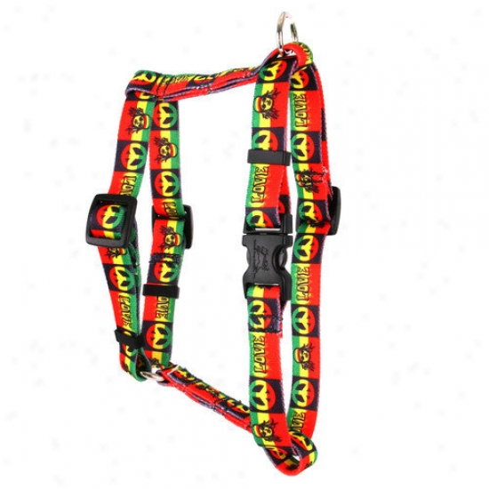 Yellow Dog Design Rasta Roman Harness
