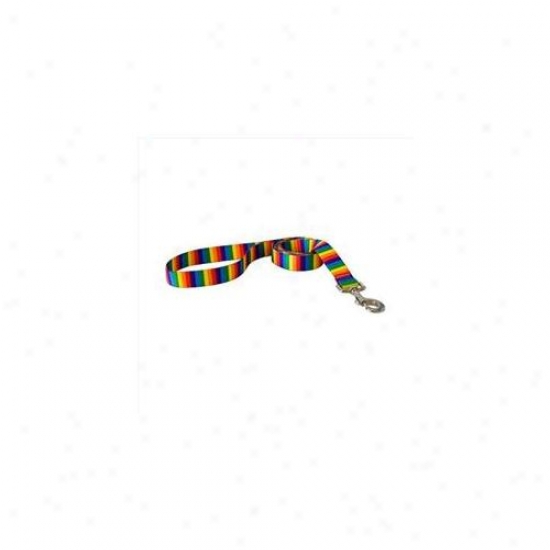 Golden Dog Desitn Rs104ld Rainbow Stripes Lead - 3/8 Inch X 60 Inch