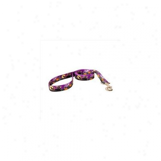 Yellow Dog Design Scn106ld 1 Inch X 60 Inch Scary Night Lead