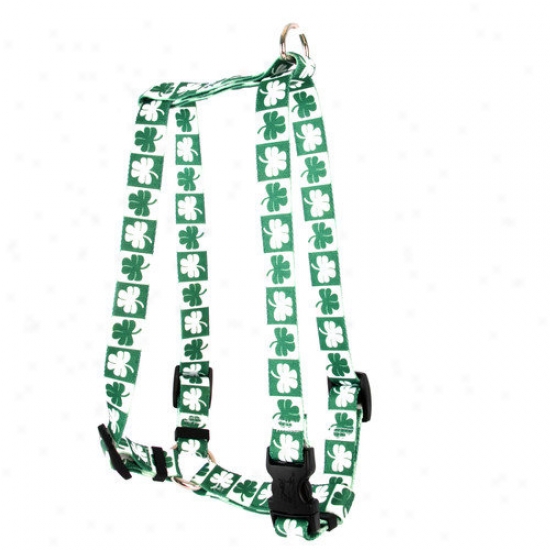 Yellow Dog Design Shamrock Roman Harness