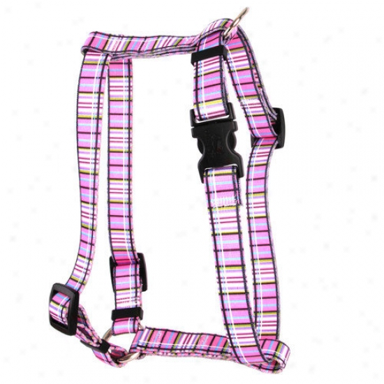 Yellow Dog Design Tartan Noble Harness