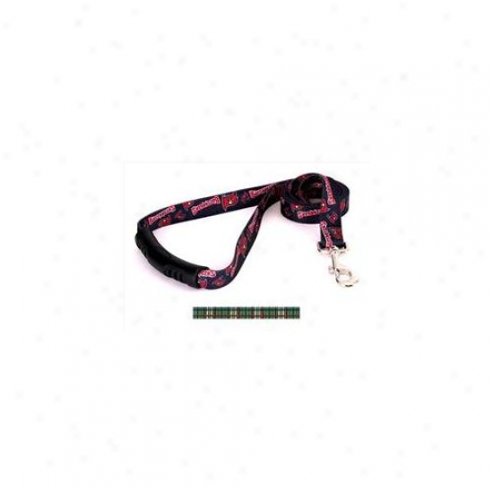 Yellow Dob Design Tg105ld-ez Tartan Green Ez-lead - 3/4 Inch X 60 Inch