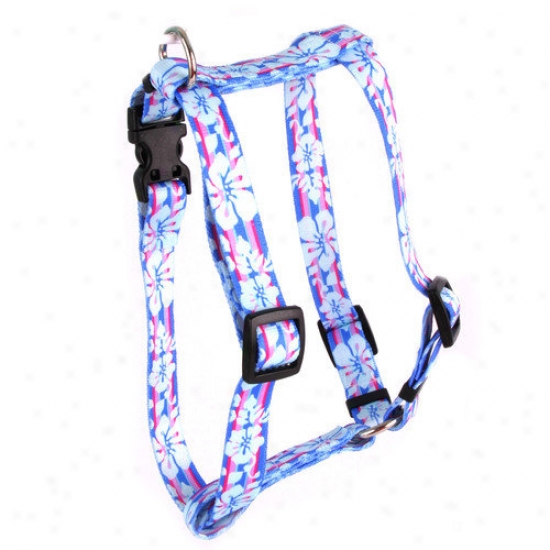 Yellow Dog Design Figurative Flowers Roman Harness