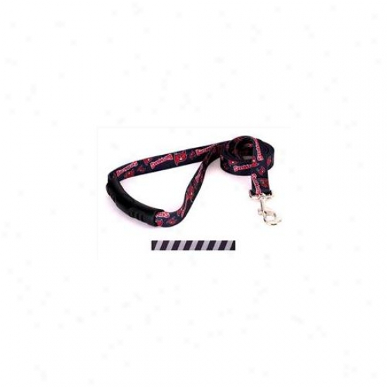 Yellow Dog Deskgn Tsbs106ld-ez Team Spirit Black And Silver Ez-lead - 1 Inch X 60 Inch