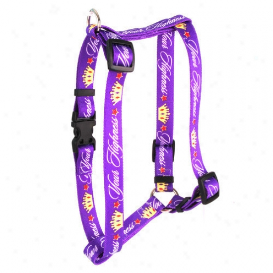 Yellow Dog Design Your Highness Roman Harness